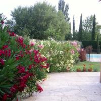 Au jardin